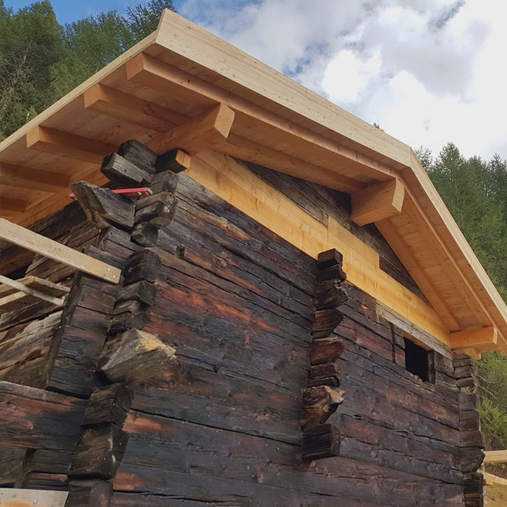 renovation